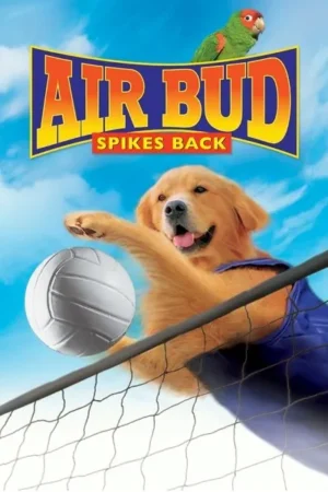 Download Air Bud: Spikes Back (2003) - PMZ