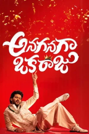 Download Anaganaga Oka Raju (2026) - PMZ