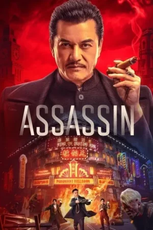 Download Assassin (2025) - PMZ