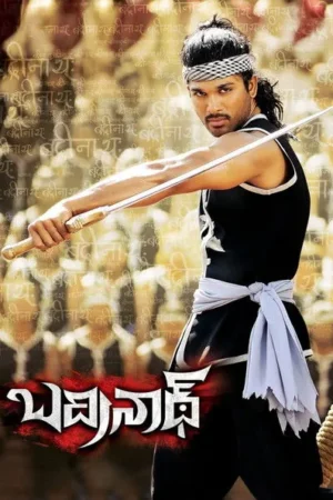 Download Badrinath (2011) - PMZ