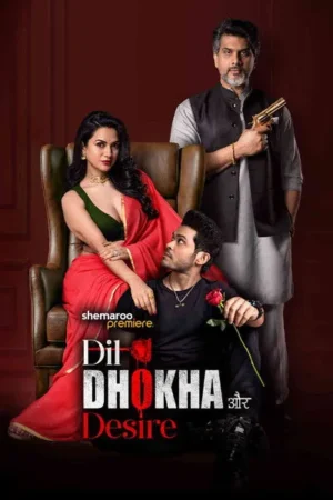 Download Dil Dhokha Aur Desire (2026) - PMZ