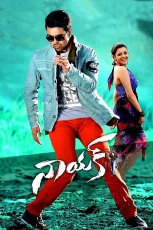 Download Naayak (2013) - PMZ
