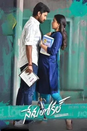 Download Nenu Local (2017) - PMZ