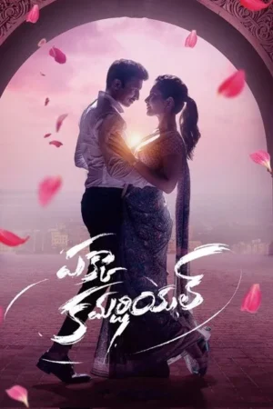 Download Pakka Commercial (2022) - PMZ