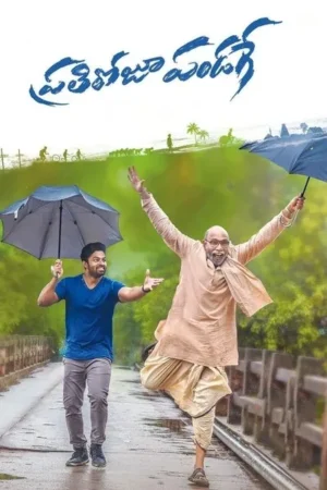 Download Prati Roju Pandaage (2019) - PMZ