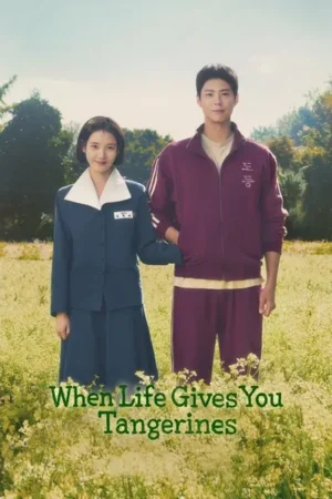 Download When Life Gives You Tangerines (2025) - PMZ