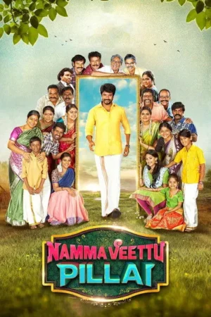 Download Namma Veettu Pillai (2019) - PMZ
