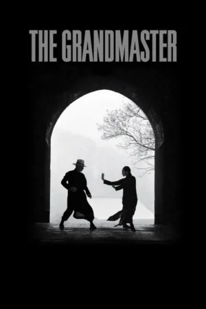 Download The Grandmaster (2013) - PMZ