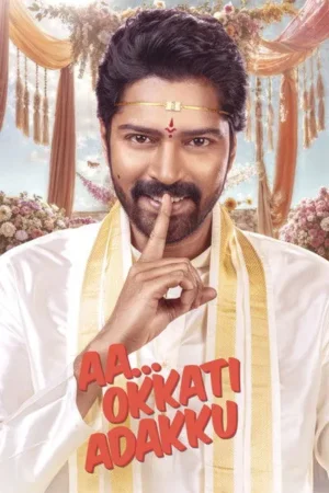 Download Aa Okkati Adakku (2024) - PMZ