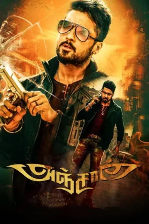 Download Anjaan (2014) - PMZ