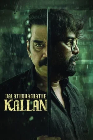 Download Valathu Vashathe Kallan (2026) - PMZ