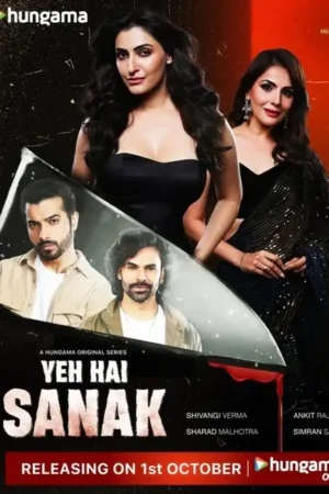 Download Yeh Hai Sanak (2025) - PMZ