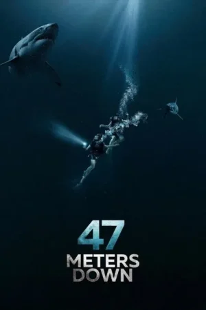 Download 47 Meters Down (2017) - PMZ